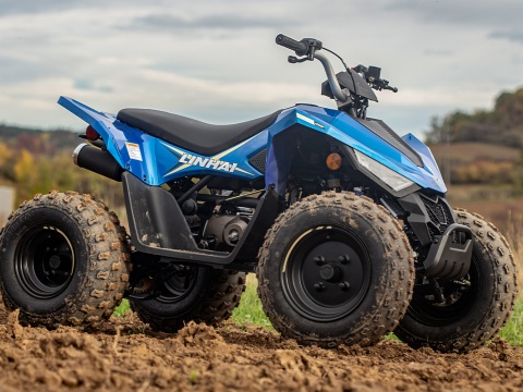 ATV 110