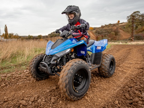 ATV 110